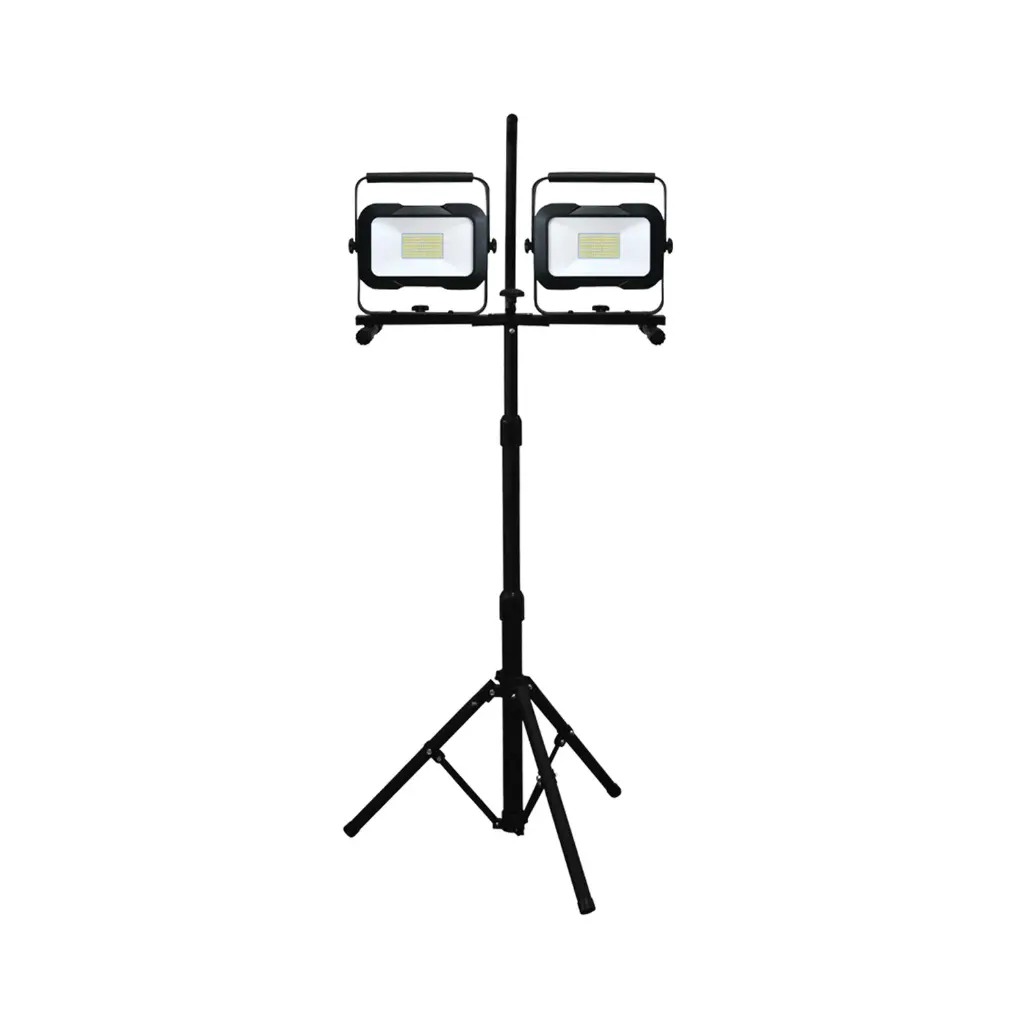 XTRI-4-80167_a.webp